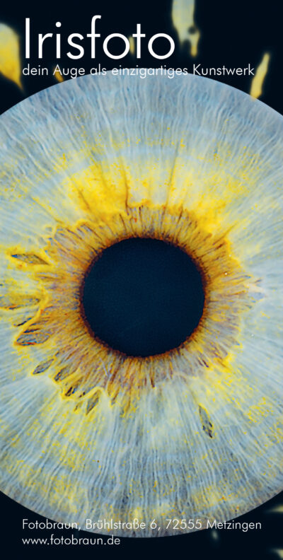 Irisfoto Auge